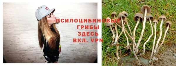 таблы Заволжск
