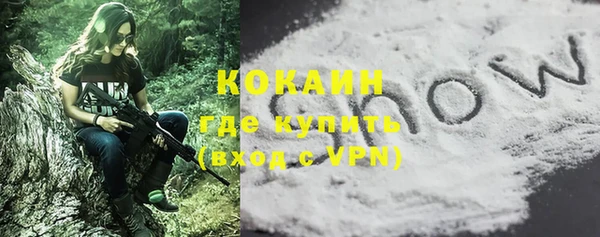 гашик Зеленокумск
