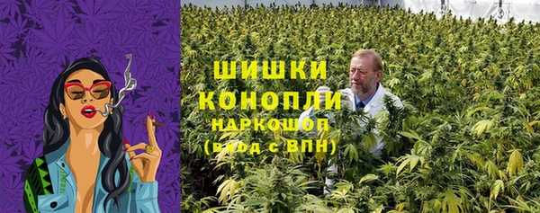 mdpv Заводоуковск