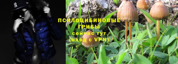 mdpv Заводоуковск