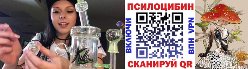 Псилоцибиновые грибы прущие грибы  Мышкин 