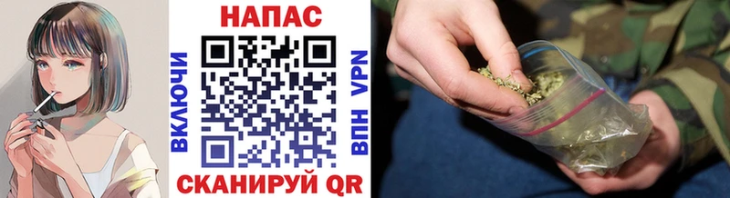Конопля Amnesia  купить   Мышкин 